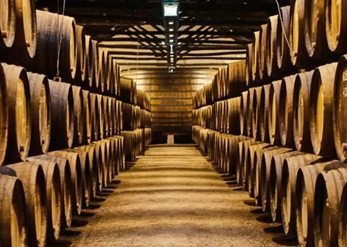 Vila Casa Dos Sequeiras Port Wine Cellars